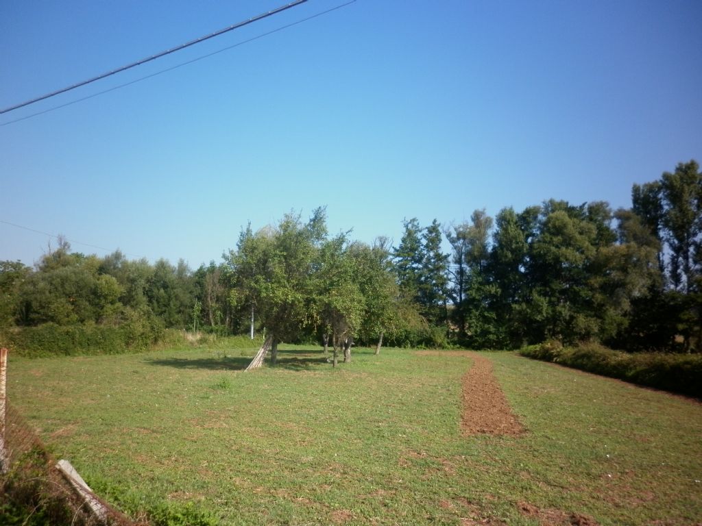 Rudere con Terreno