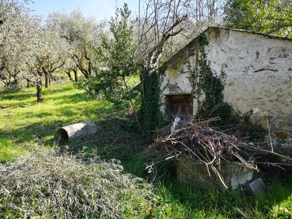 Rustico con Terreno