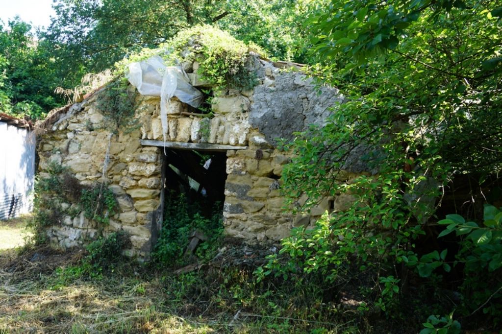 RUDERE CON TERRENO