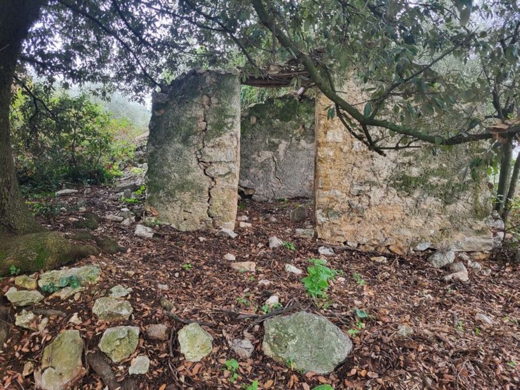 RUDERE CON TERRENO ULIVATO