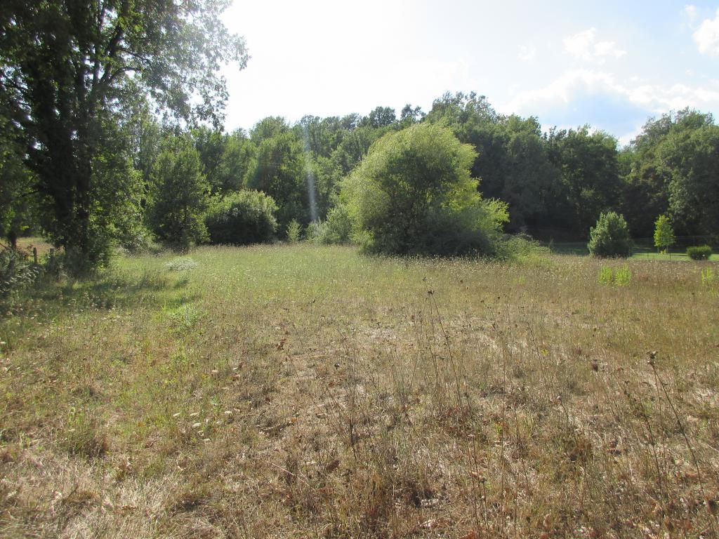 Terreno agricolo