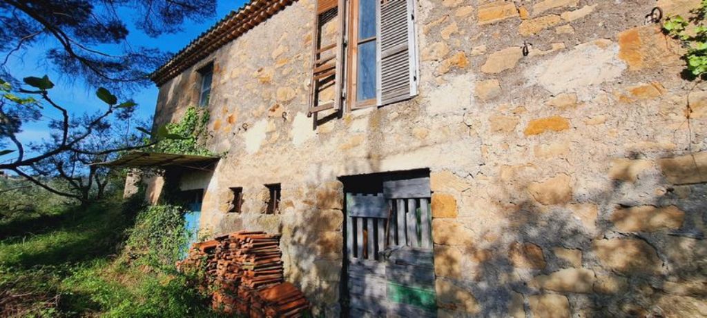 RUSTICO CON TERRENO