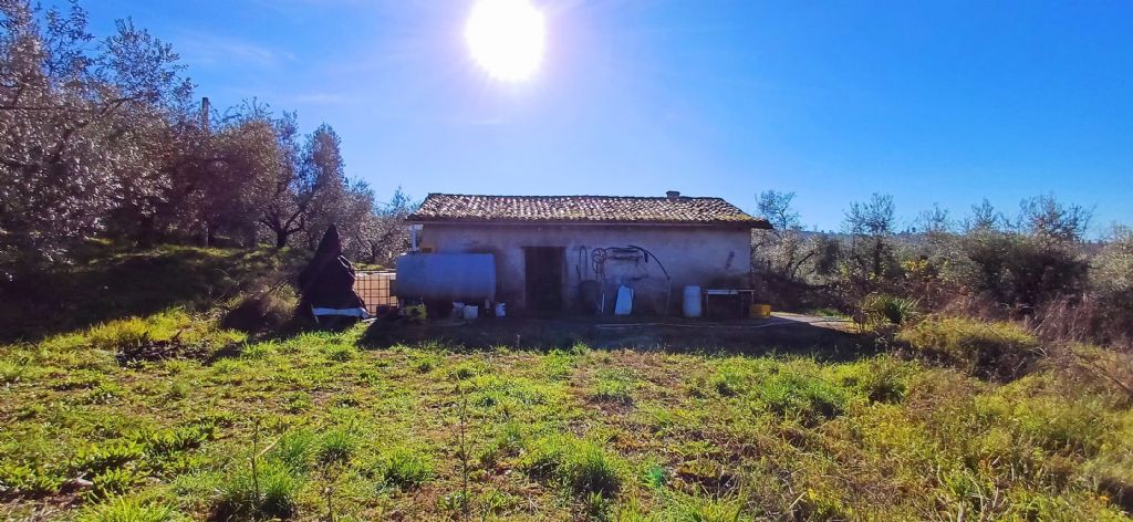 RUSTICO CON TERRENO
