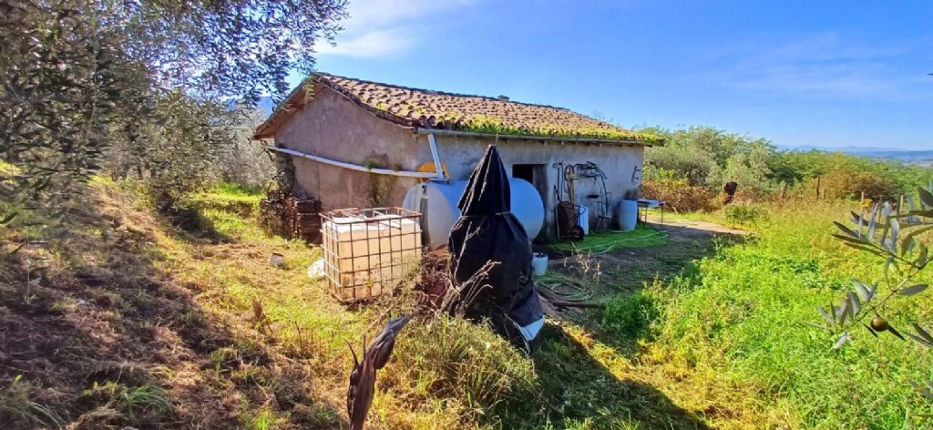 RUSTICO CON TERRENO