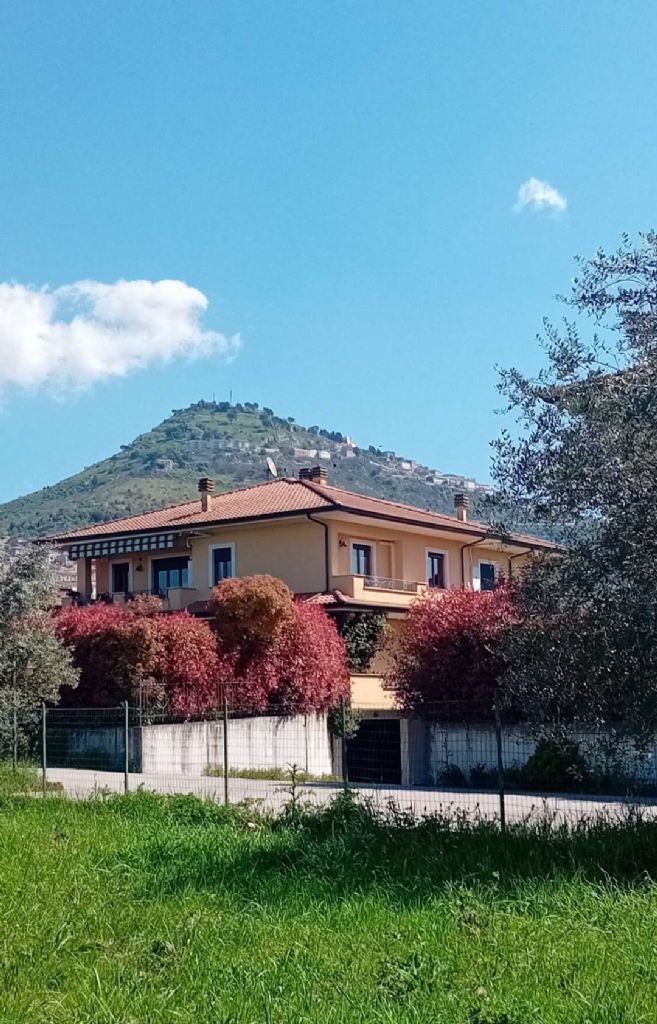 APPARTAMENTO IN VILLINO CON CORTE ;BOX AUTO E CUCINA COMPRESA