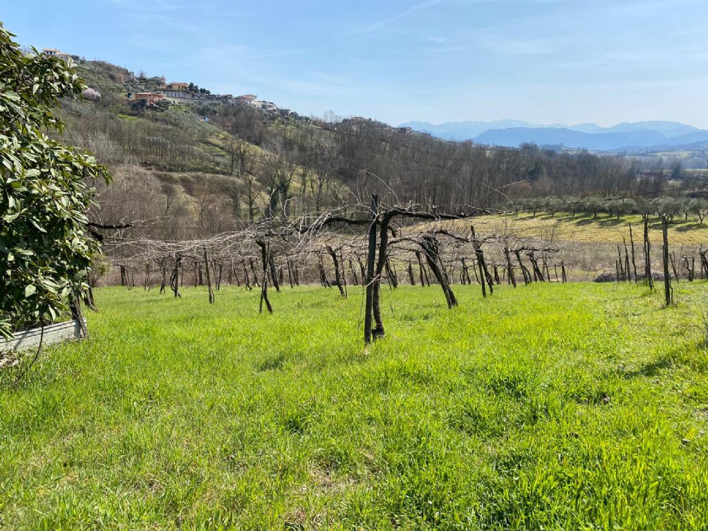 Rudere con terreno in Via Colleviso.