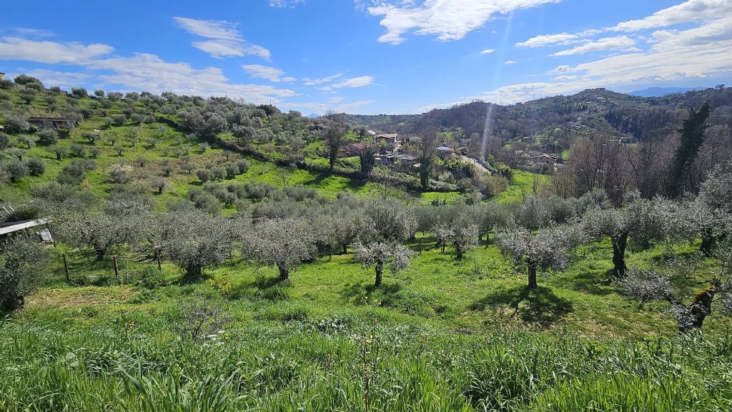 Scopri la tua oasi di pace a Maniano, Frosinone.